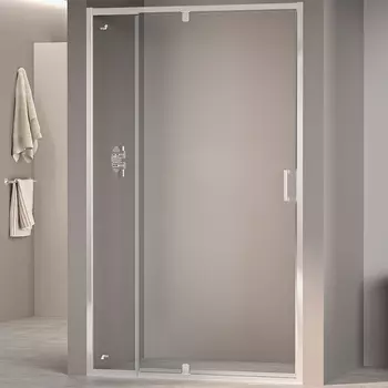 Душевая дверь RGW