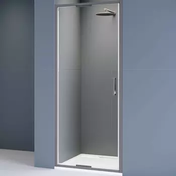 Душевая дверь RGW