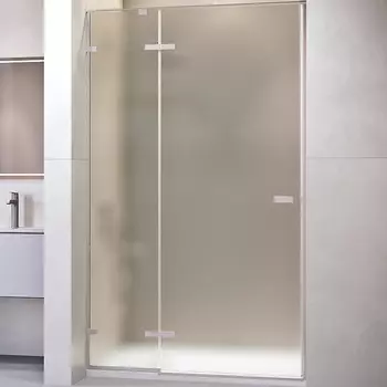 Душевая дверь RGW