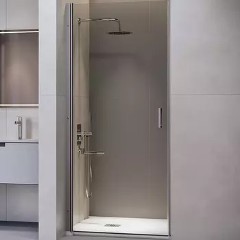 Душевая дверь RGW