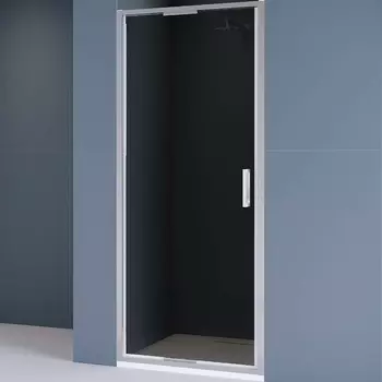 Душевая дверь RGW