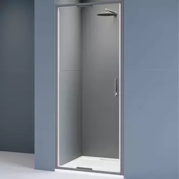 Душевая дверь RGW