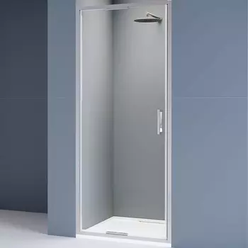 Душевая дверь RGW