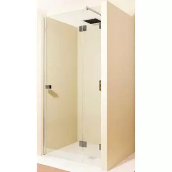 Душевая дверь Riho