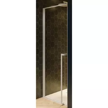 Душевая дверь Riho