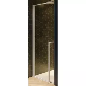 Душевая дверь Riho