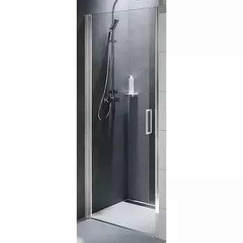 Душевая дверь Riho
