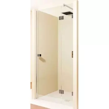 Душевая дверь Riho