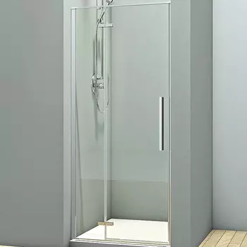 Душевая дверь Veconi