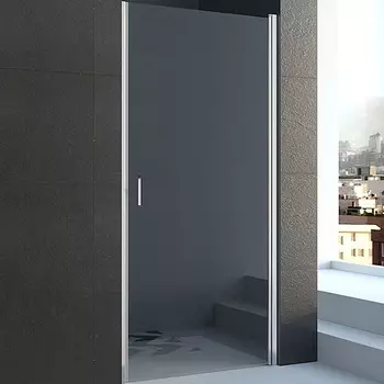 Душевая дверь Veconi