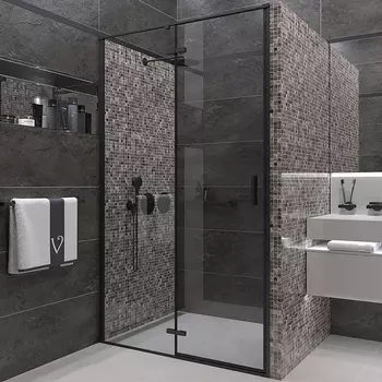 Душевая дверь Veconi