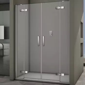 Душевая дверь Veconi