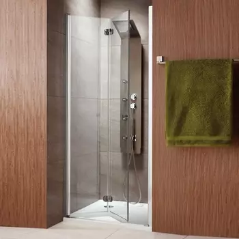 Душевая дверь в нишу Radaway