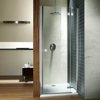 Душевая дверь в нишу Radaway