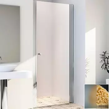 Душевая дверь в нишу Radomir