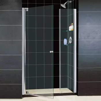 Душевая дверь в нишу RGW