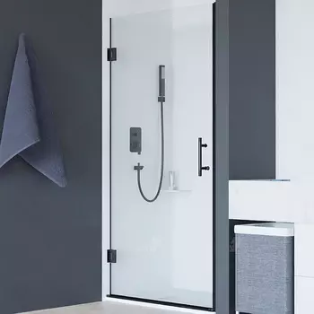 Душевая дверь RGW