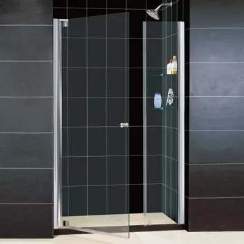 Душевая дверь в нишу RGW