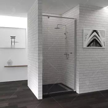 Душевая дверь в нишу RGW