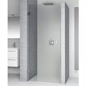 Душевая дверь в нишу Riho