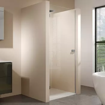 Душевая дверь в нишу Riho