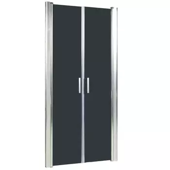 Душевая дверь в нишу River