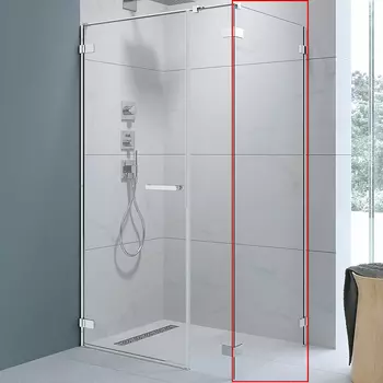 Душевая стенка Radaway