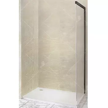 Душевая стенка RGW