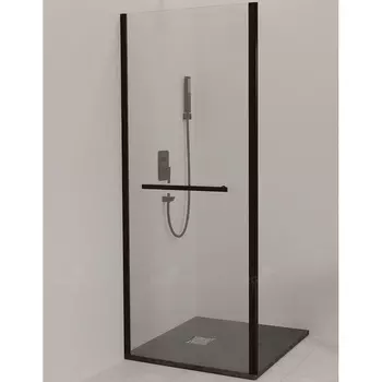 Душевая стенка RGW