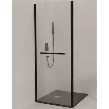 Душевая стенка RGW