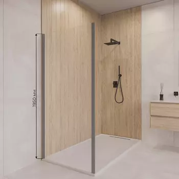 Душевая стенка RGW