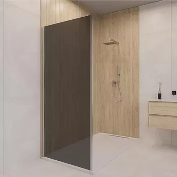 Душевая стенка RGW
