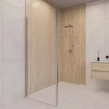 Душевая стенка RGW