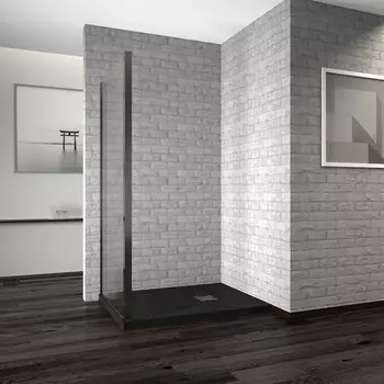 Душевая стенка RGW