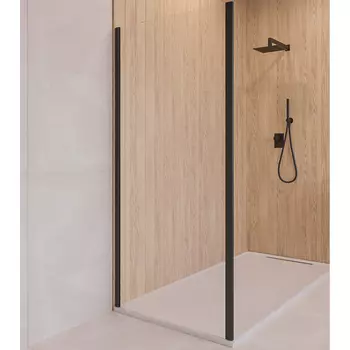 Душевая стенка RGW