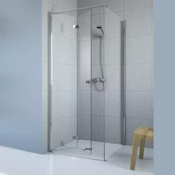 Дверь душевого уголка Radaway