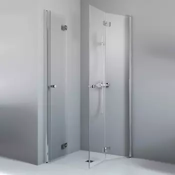 Дверь душевого уголка Radaway