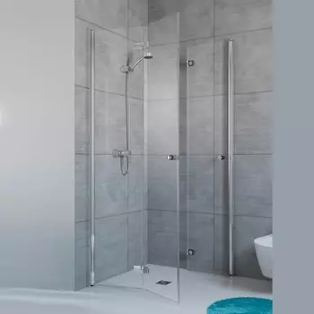 Дверь душевого уголка Radaway