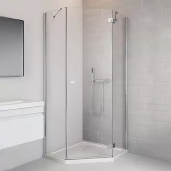 Дверь душевого уголка Radaway