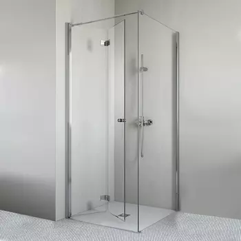 Дверь душевого уголка Radaway