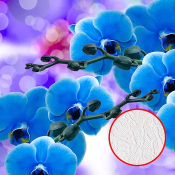 Фотообои Divino