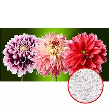 Фотообои Divino