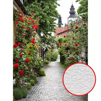 Фотообои Divino