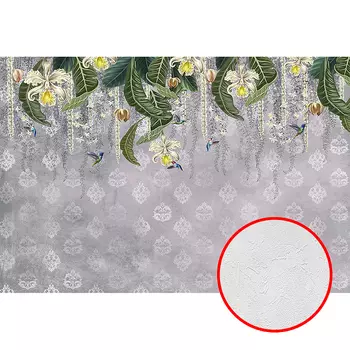 Фотообои Divino