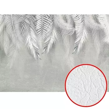 Фотообои Divino