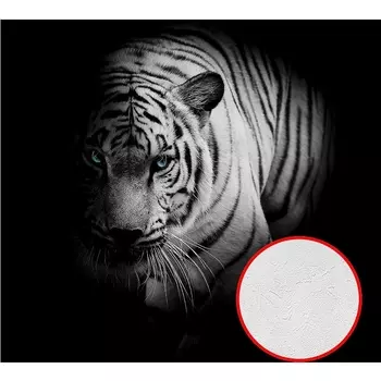 Фотообои Divino