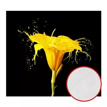 Фотообои Divino