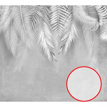 Фотообои Divino