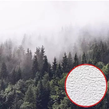 Фотообои Divino