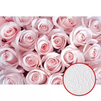 Фотообои Divino